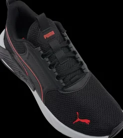New sneakersy męskie X-Cell Nova FS Męskie Sportowe|Markowe